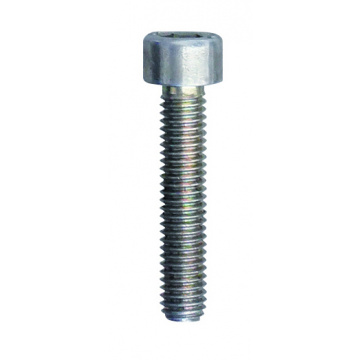 Insexbult M6x30mm Klann
