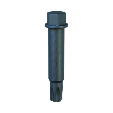 Bitshylsa Torx T50 Klann